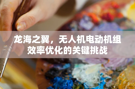 龙海之翼，无人机电动机组效率优化的关键挑战