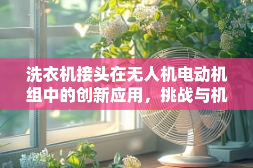洗衣机接头在无人机电动机组中的创新应用，挑战与机遇？