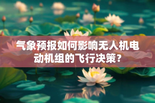 气象预报如何影响无人机电动机组的飞行决策？