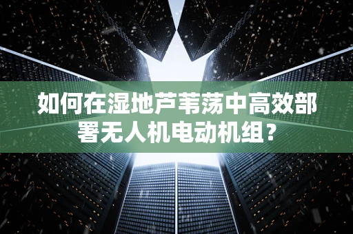 如何在湿地芦苇荡中高效部署无人机电动机组？