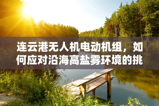 连云港无人机电动机组，如何应对沿海高盐雾环境的挑战？
