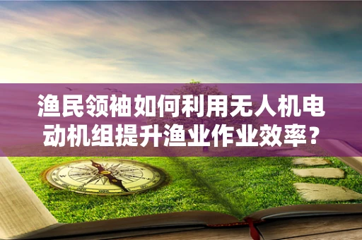 渔民领袖如何利用无人机电动机组提升渔业作业效率？