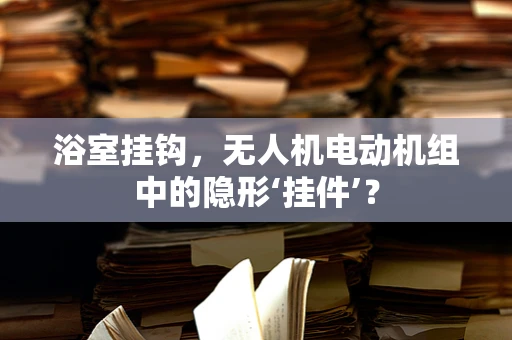 浴室挂钩，无人机电动机组中的隐形‘挂件’？