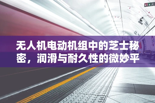 无人机电动机组中的芝士秘密，润滑与耐久性的微妙平衡