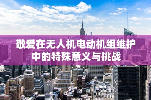 敬爱在无人机电动机组维护中的特殊意义与挑战