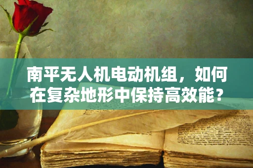 南平无人机电动机组，如何在复杂地形中保持高效能？
