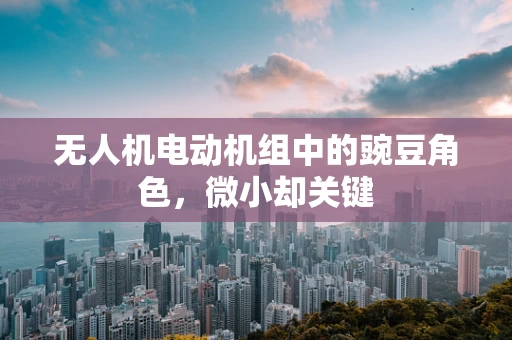 无人机电动机组中的豌豆角色，微小却关键