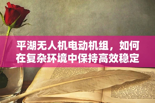 平湖无人机电动机组，如何在复杂环境中保持高效稳定？