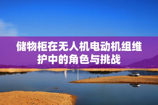 储物柜在无人机电动机组维护中的角色与挑战
