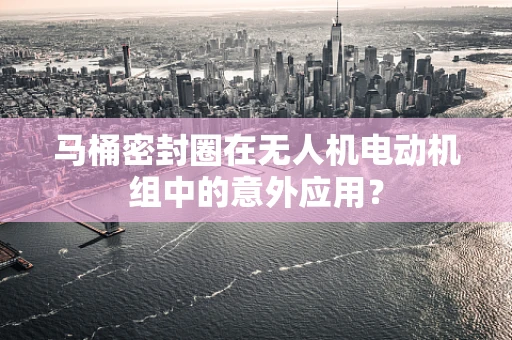 马桶密封圈在无人机电动机组中的意外应用？