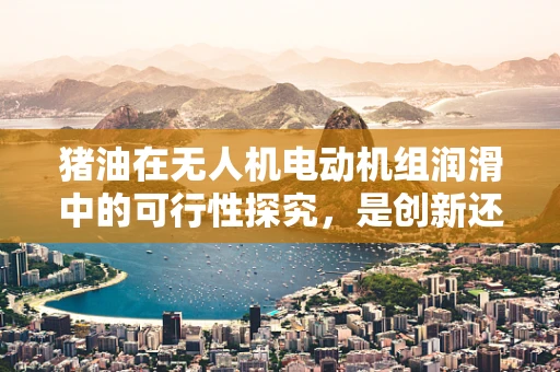 猪油在无人机电动机组润滑中的可行性探究，是创新还是误区？