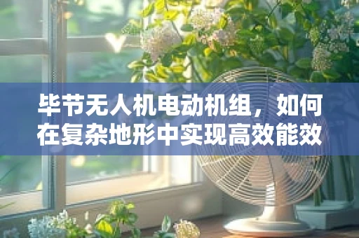 毕节无人机电动机组，如何在复杂地形中实现高效能效比？