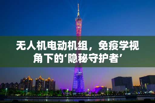 无人机电动机组，免疫学视角下的‘隐秘守护者’