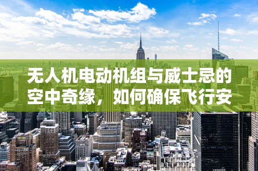 无人机电动机组与威士忌的空中奇缘，如何确保飞行安全与酒香不散？