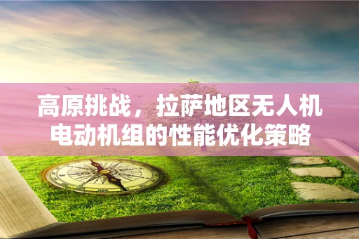 高原挑战，拉萨地区无人机电动机组的性能优化策略