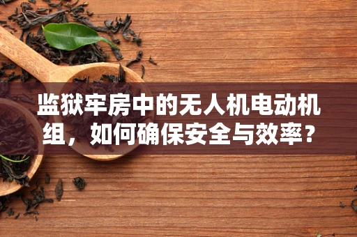 监狱牢房中的无人机电动机组，如何确保安全与效率？