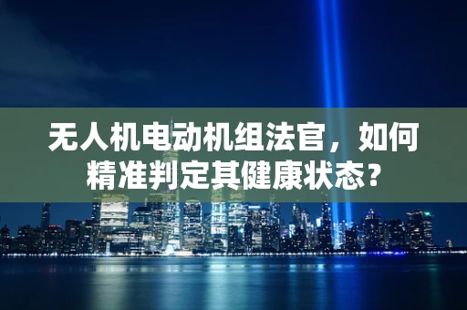 无人机电动机组法官，如何精准判定其健康状态？