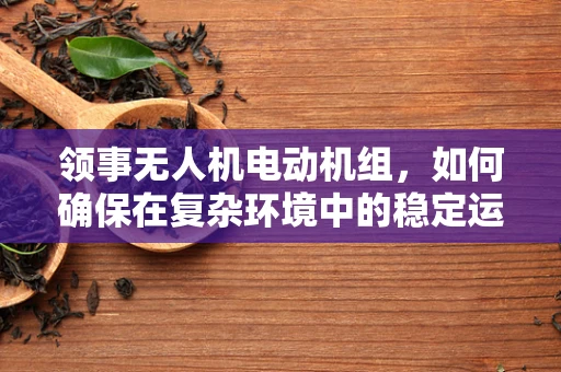 领事无人机电动机组，如何确保在复杂环境中的稳定运行？