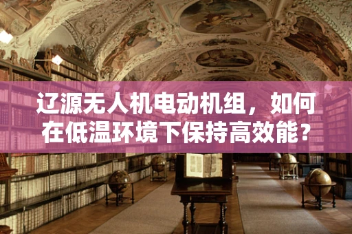 辽源无人机电动机组，如何在低温环境下保持高效能？