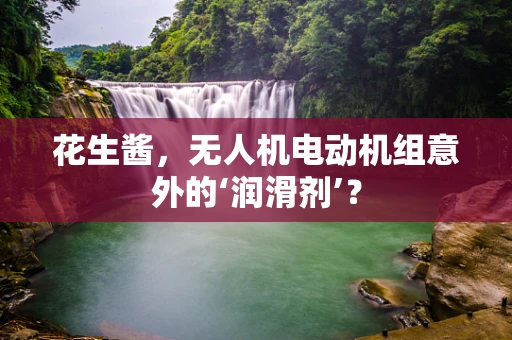 花生酱，无人机电动机组意外的‘润滑剂’？