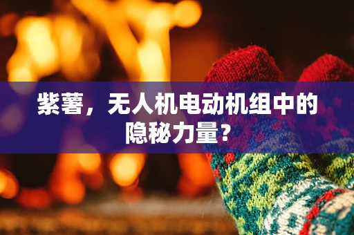 紫薯，无人机电动机组中的隐秘力量？