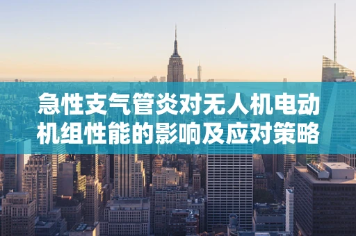 急性支气管炎对无人机电动机组性能的影响及应对策略