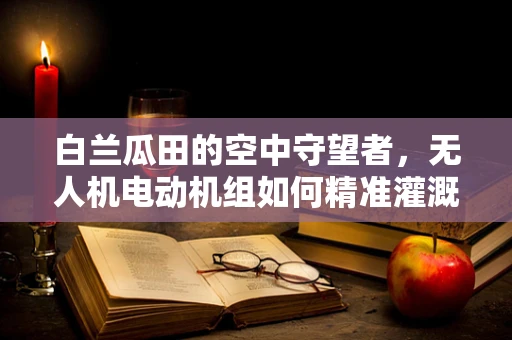白兰瓜田的空中守望者，无人机电动机组如何精准灌溉？