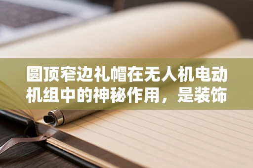 圆顶窄边礼帽在无人机电动机组中的神秘作用，是装饰还是功能？