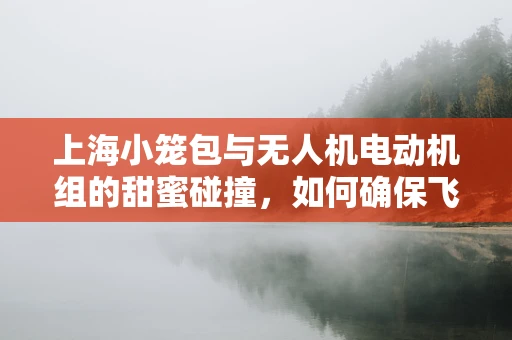 上海小笼包与无人机电动机组的甜蜜碰撞，如何确保飞行中的美食安全？