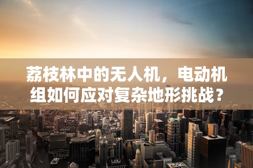 荔枝林中的无人机，电动机组如何应对复杂地形挑战？