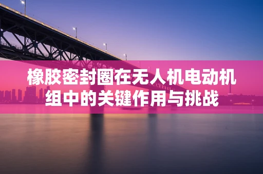 橡胶密封圈在无人机电动机组中的关键作用与挑战