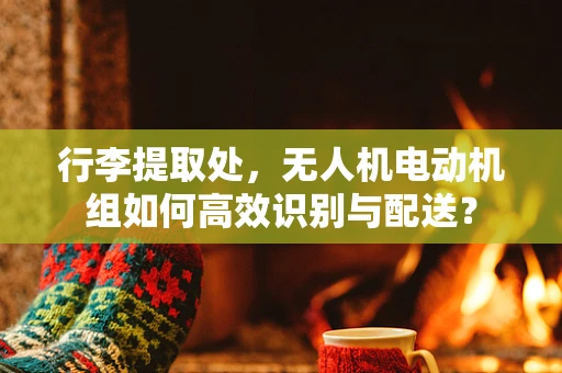 行李提取处，无人机电动机组如何高效识别与配送？