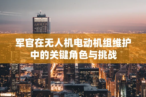 军官在无人机电动机组维护中的关键角色与挑战