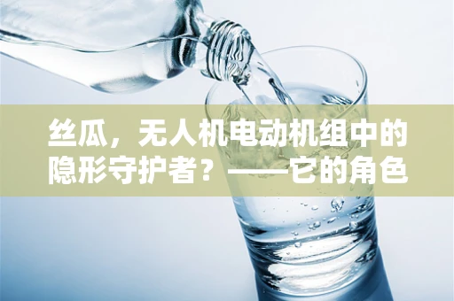 丝瓜，无人机电动机组中的隐形守护者？——它的角色与挑战