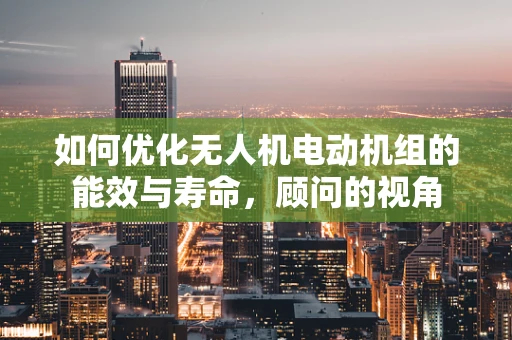如何优化无人机电动机组的能效与寿命，顾问的视角