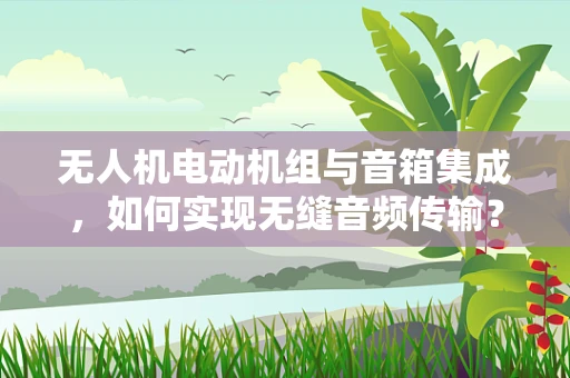 无人机电动机组与音箱集成，如何实现无缝音频传输？