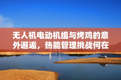 无人机电动机组与烤鸡的意外邂逅，热能管理挑战何在？