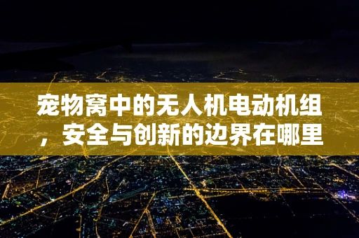 宠物窝中的无人机电动机组，安全与创新的边界在哪里？