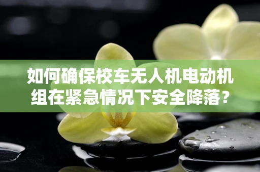 如何确保校车无人机电动机组在紧急情况下安全降落？