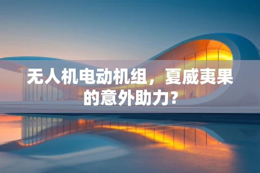 无人机电动机组，夏威夷果的意外助力？