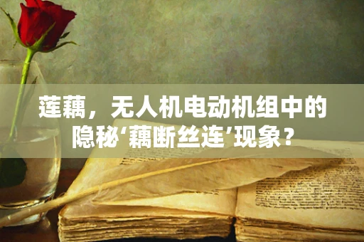 莲藕，无人机电动机组中的隐秘‘藕断丝连’现象？