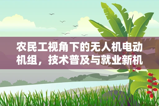 农民工视角下的无人机电动机组，技术普及与就业新机遇？