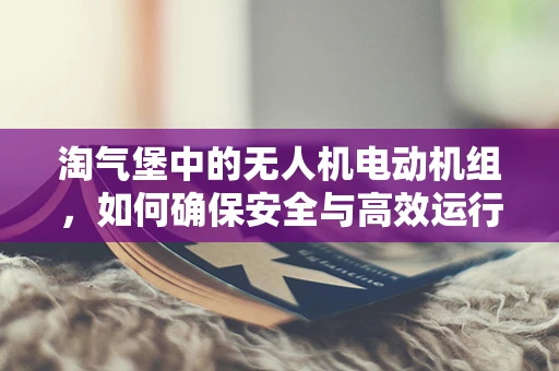 淘气堡中的无人机电动机组，如何确保安全与高效运行？