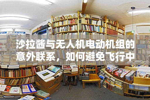沙拉酱与无人机电动机组的意外联系，如何避免飞行中的‘调味剂’灾难？