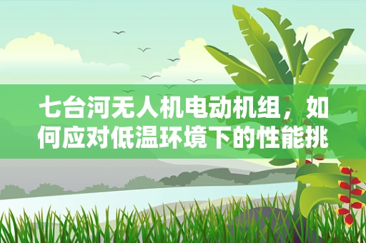 七台河无人机电动机组，如何应对低温环境下的性能挑战？