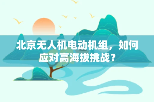 北京无人机电动机组，如何应对高海拔挑战？