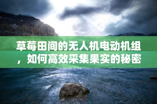 草莓田间的无人机电动机组，如何高效采集果实的秘密？