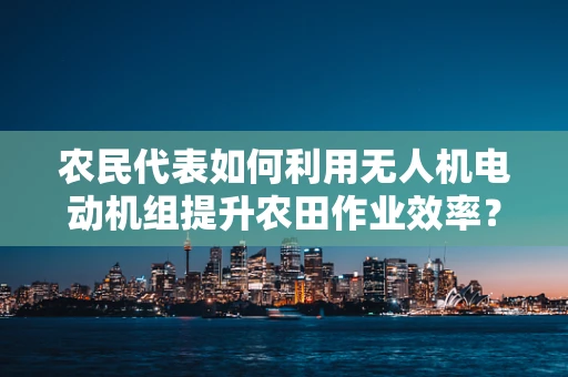 农民代表如何利用无人机电动机组提升农田作业效率？
