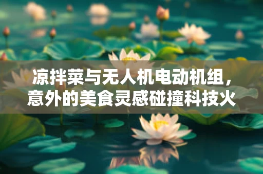 凉拌菜与无人机电动机组，意外的美食灵感碰撞科技火花？