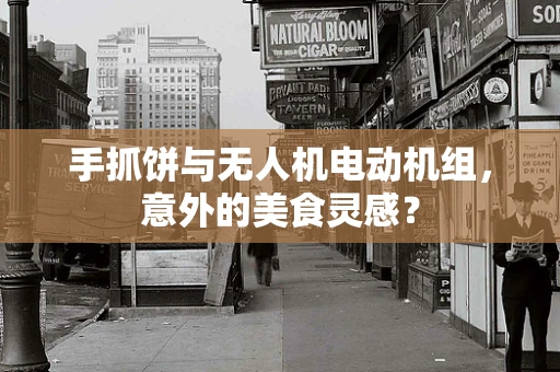 手抓饼与无人机电动机组，意外的美食灵感？